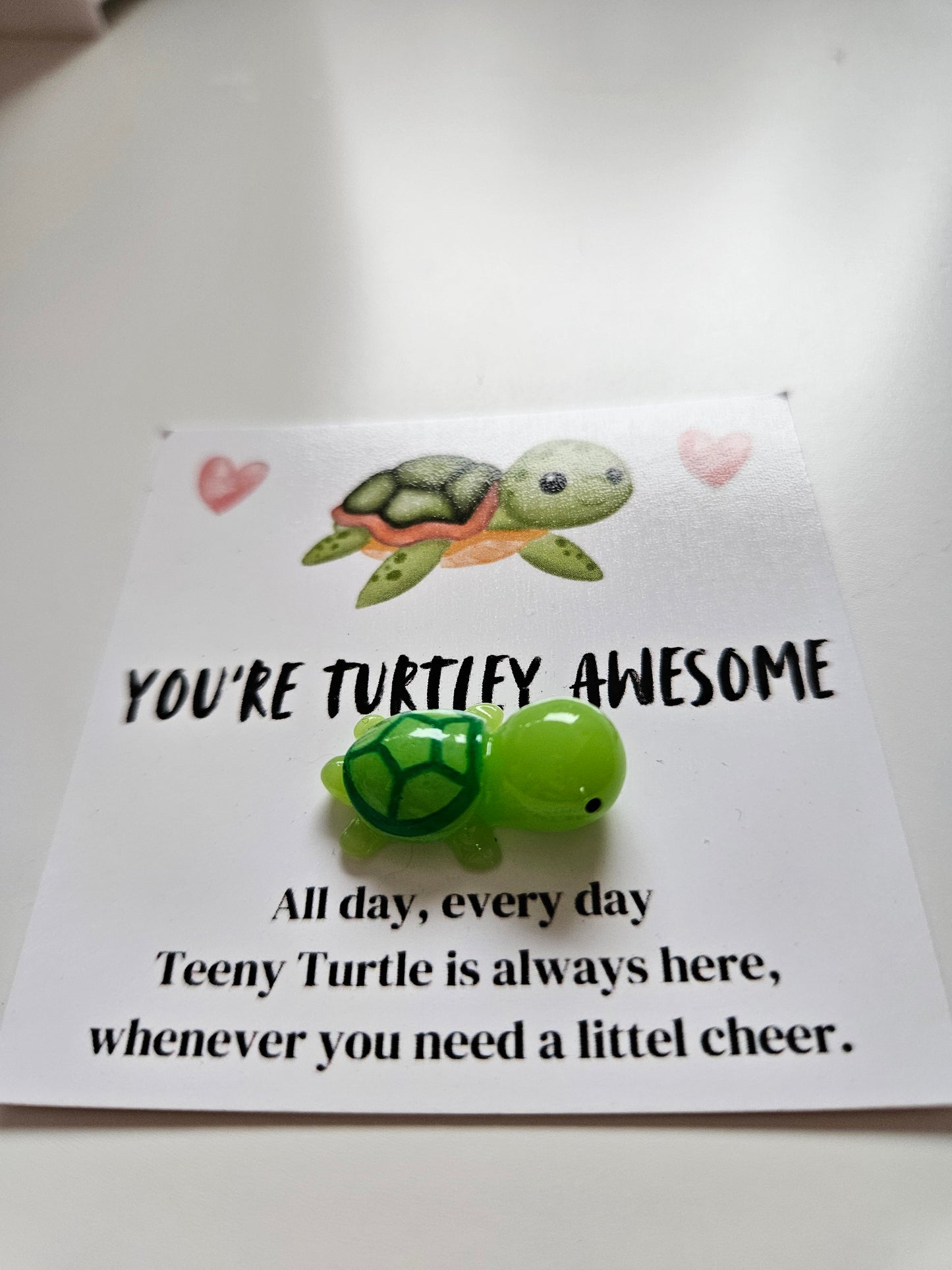 Schildkröten Geschenkset