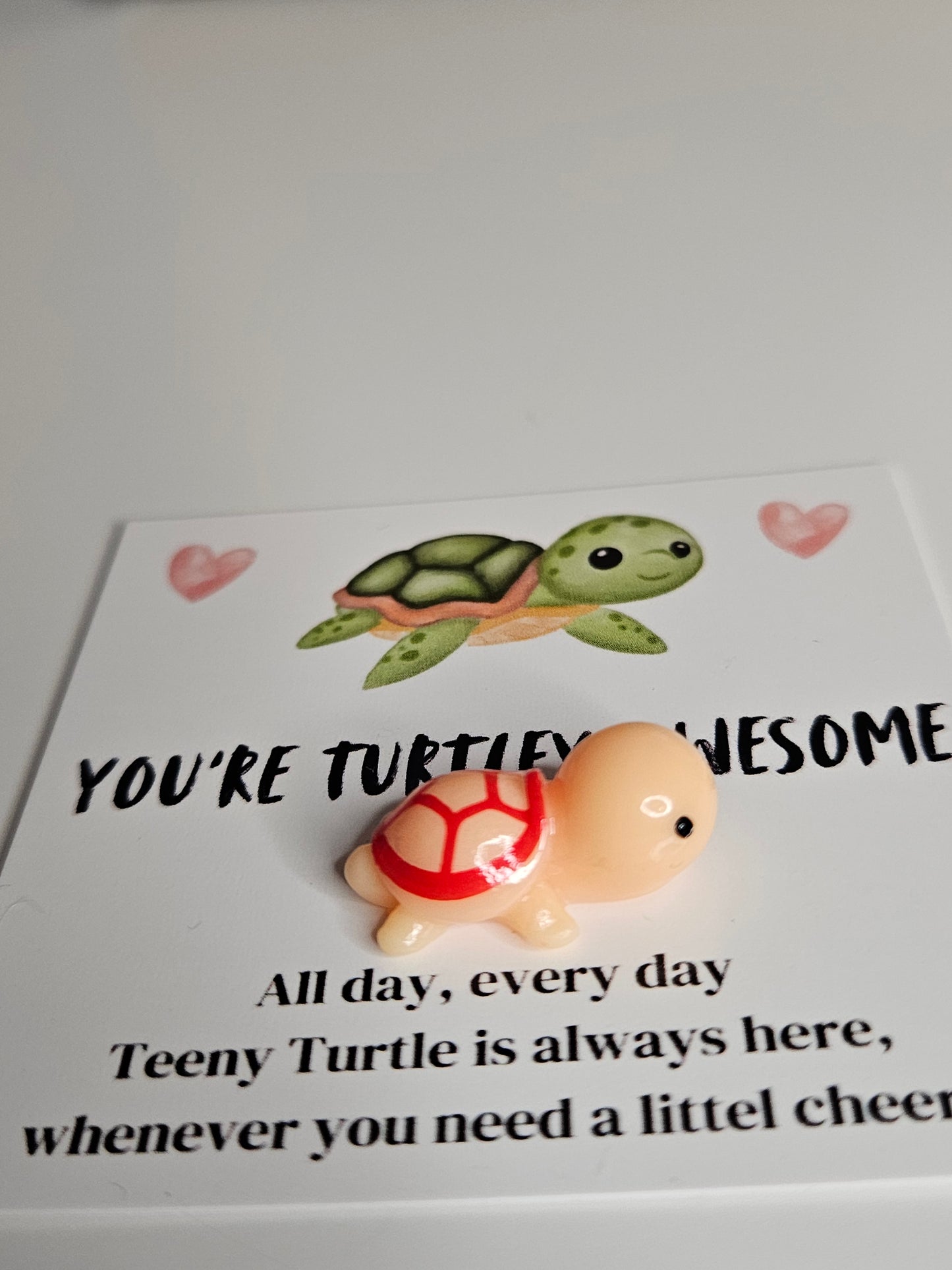 Schildkröten Glücksbringer