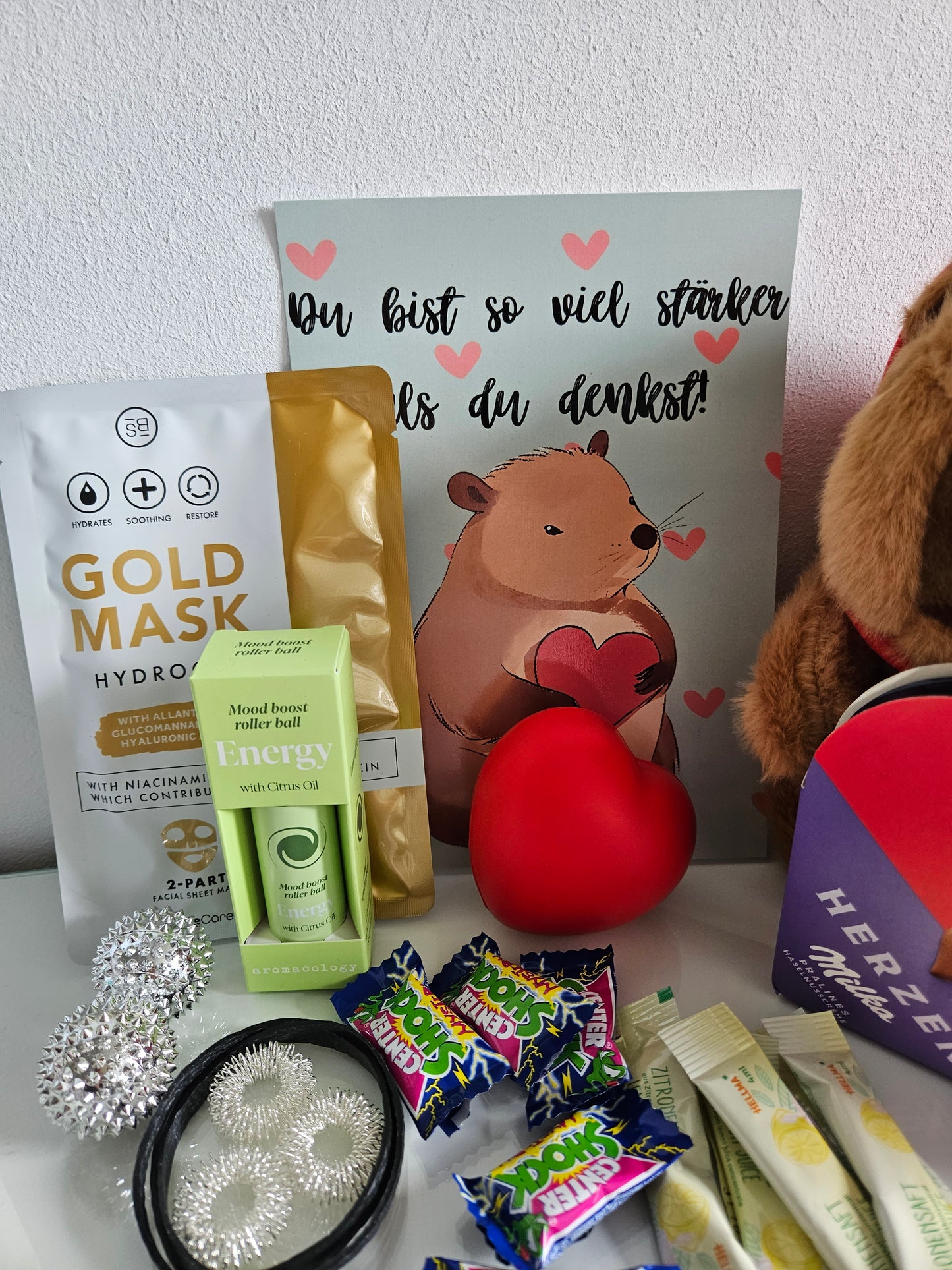 Capybara Geschenkset