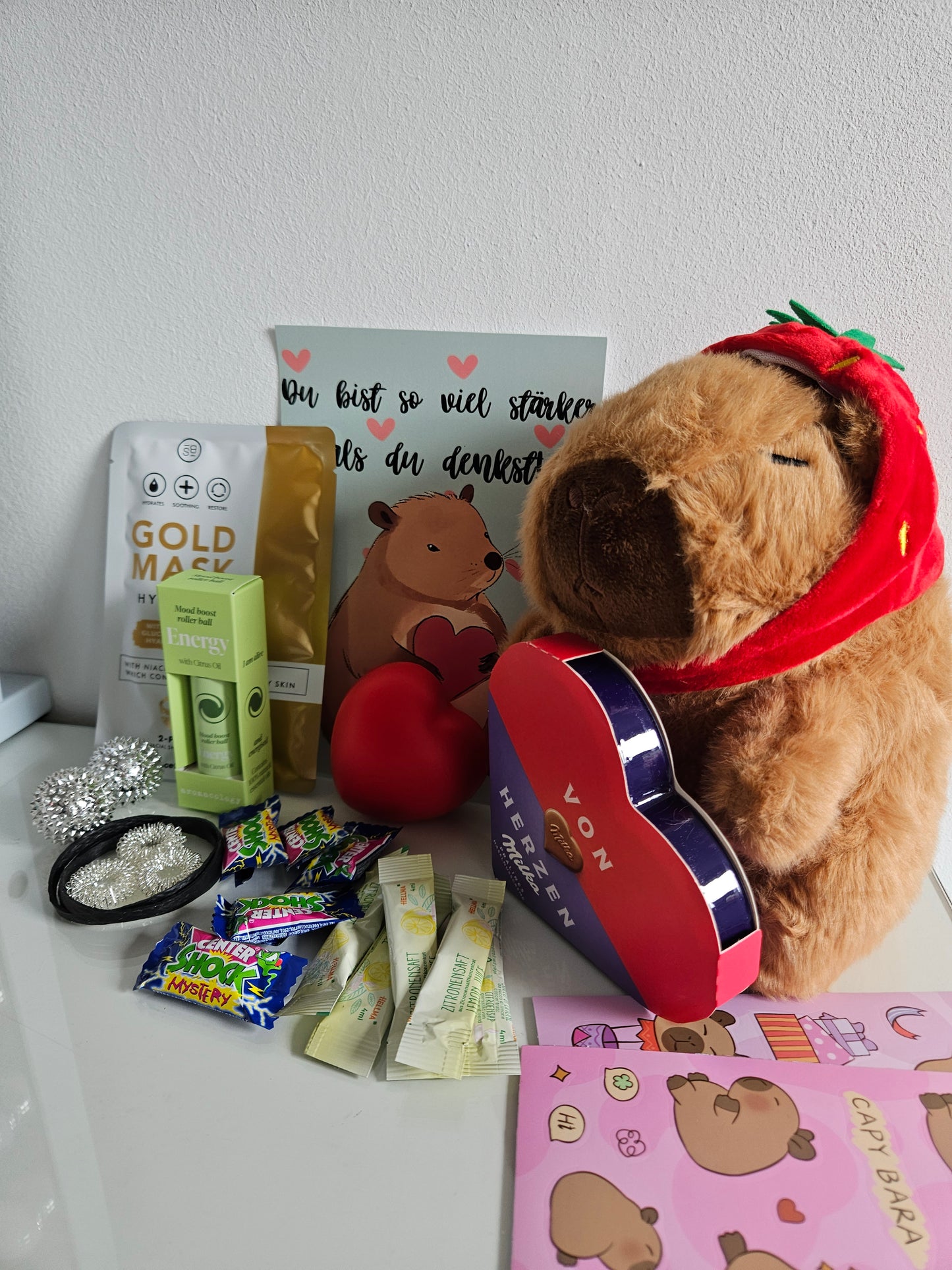 Capybara Geschenkset