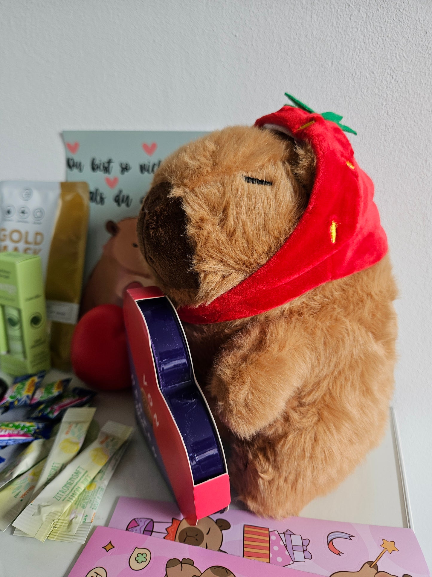 Capybara Geschenkset