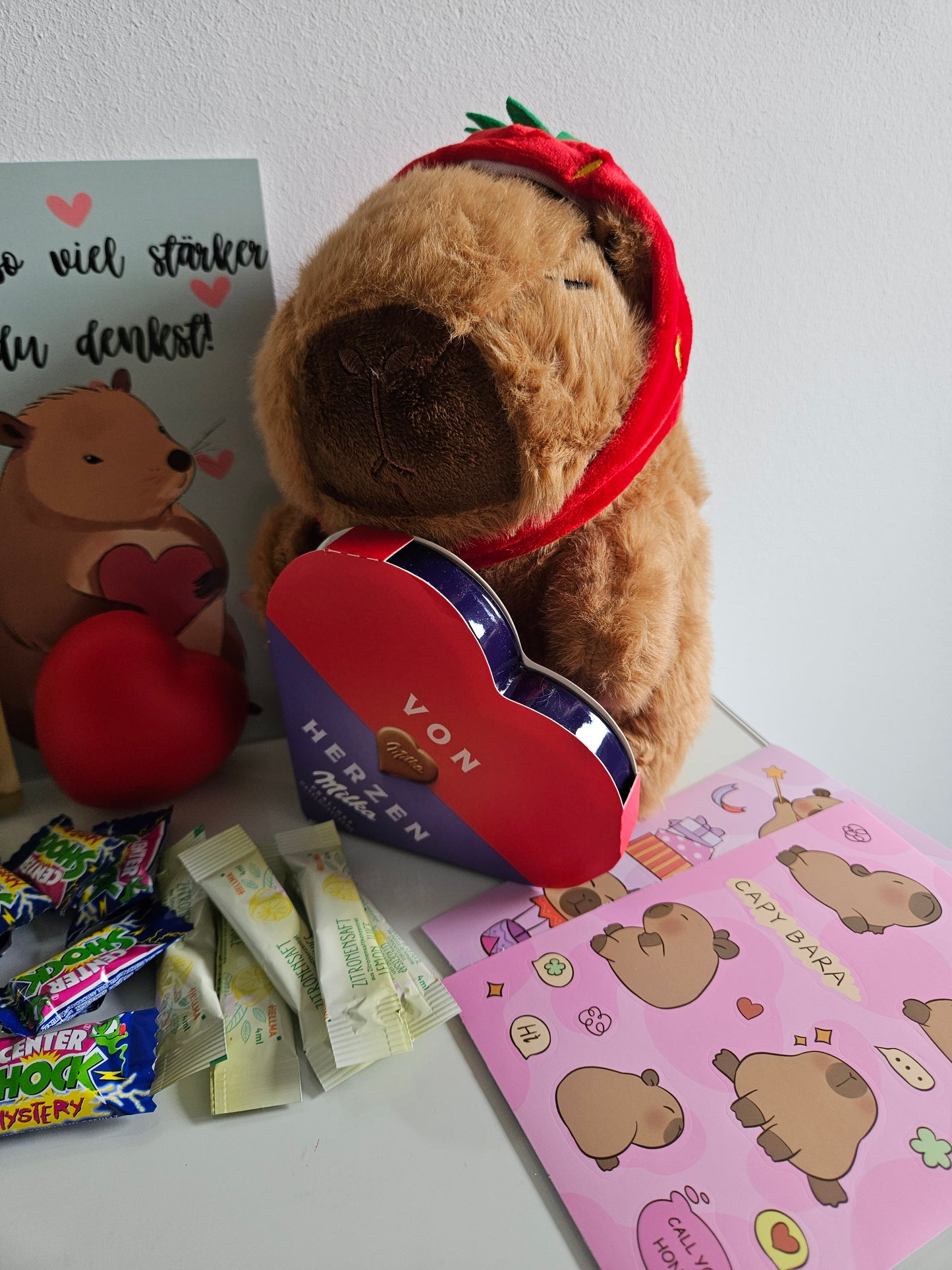 Capybara Geschenkset
