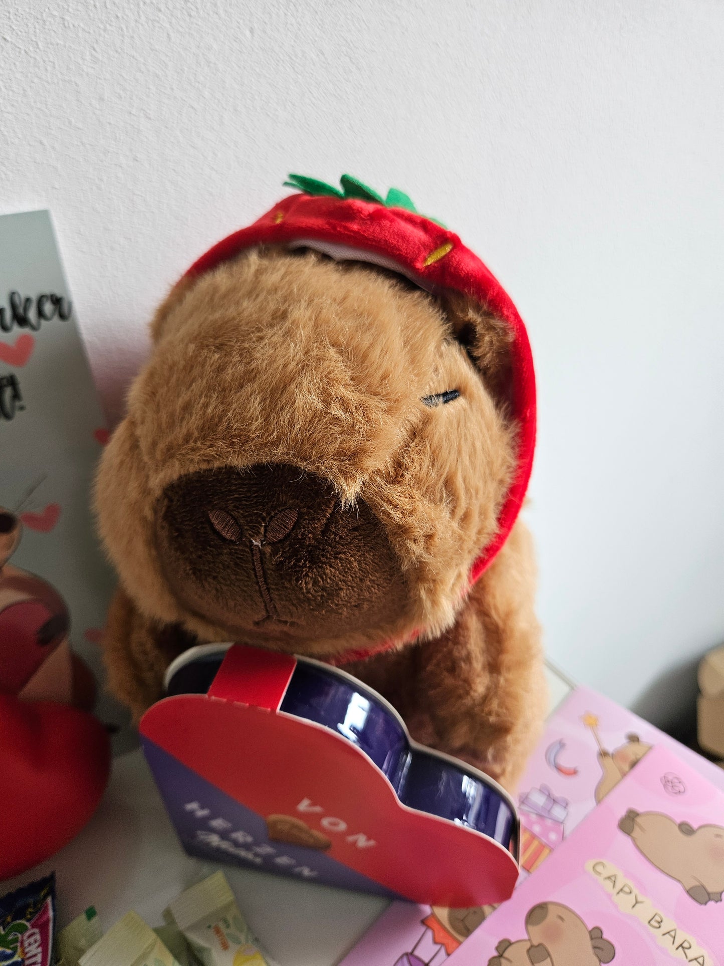 Capybara Geschenkset