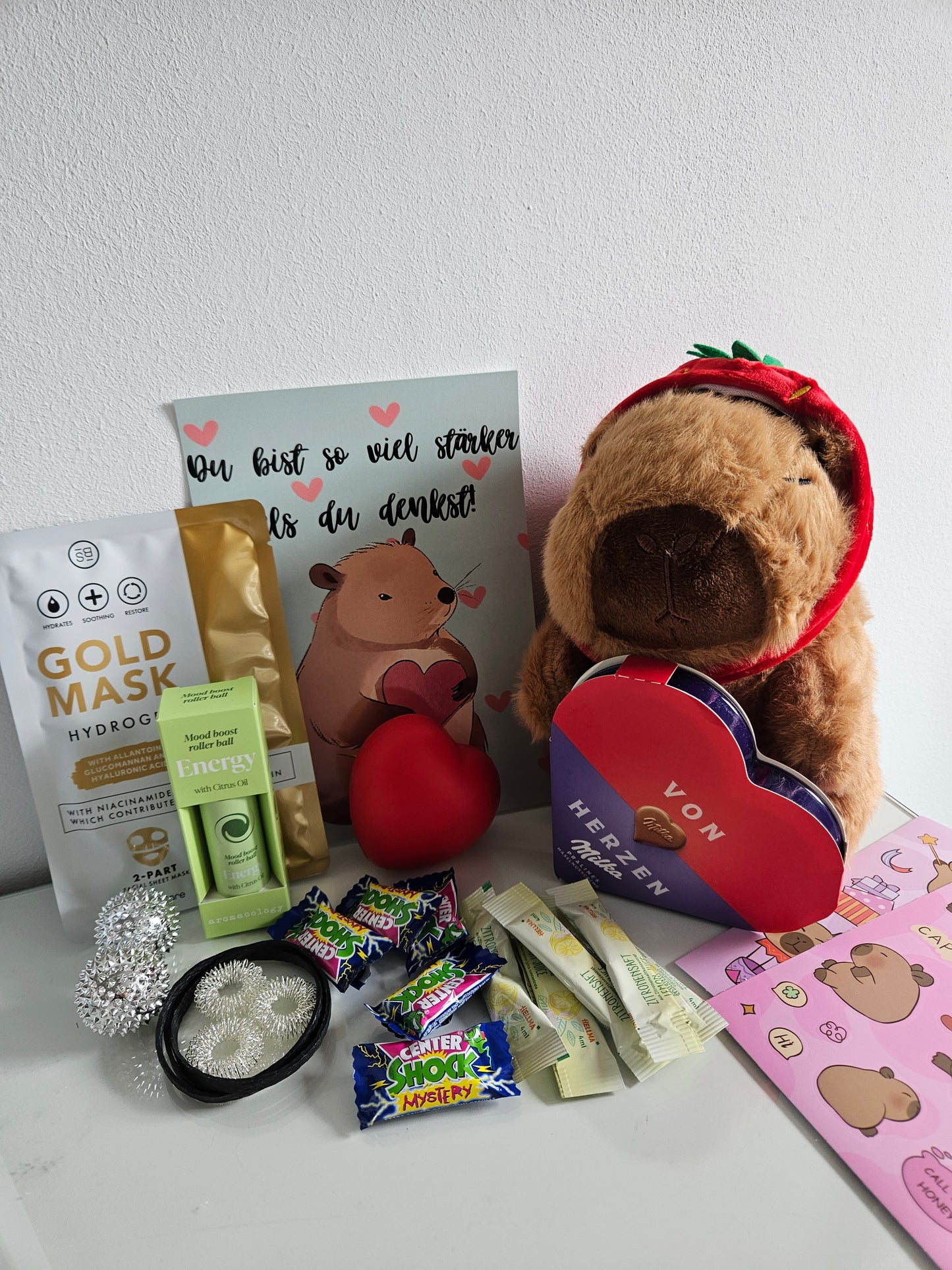 Capybara Geschenkset