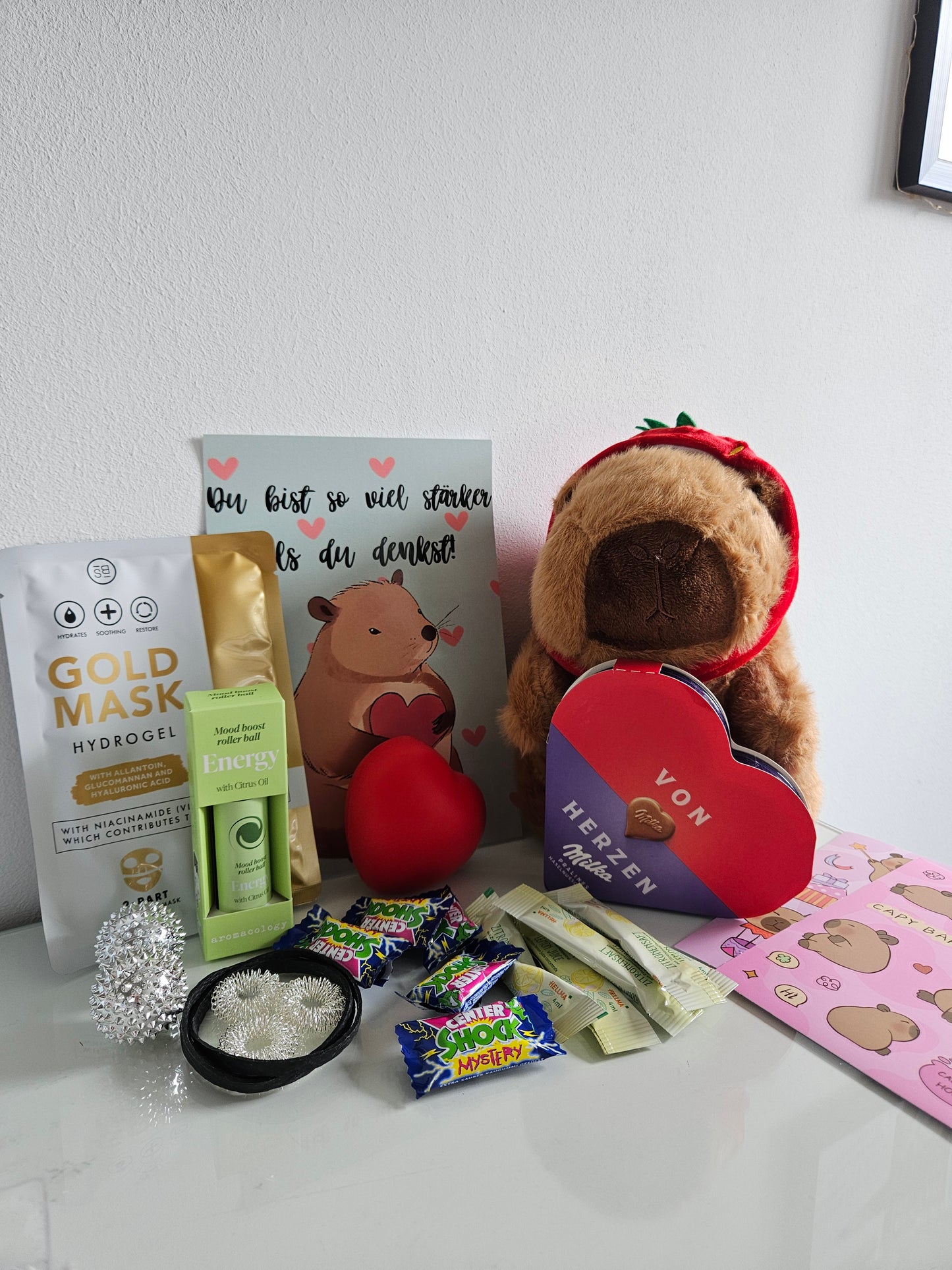 Capybara Geschenkset