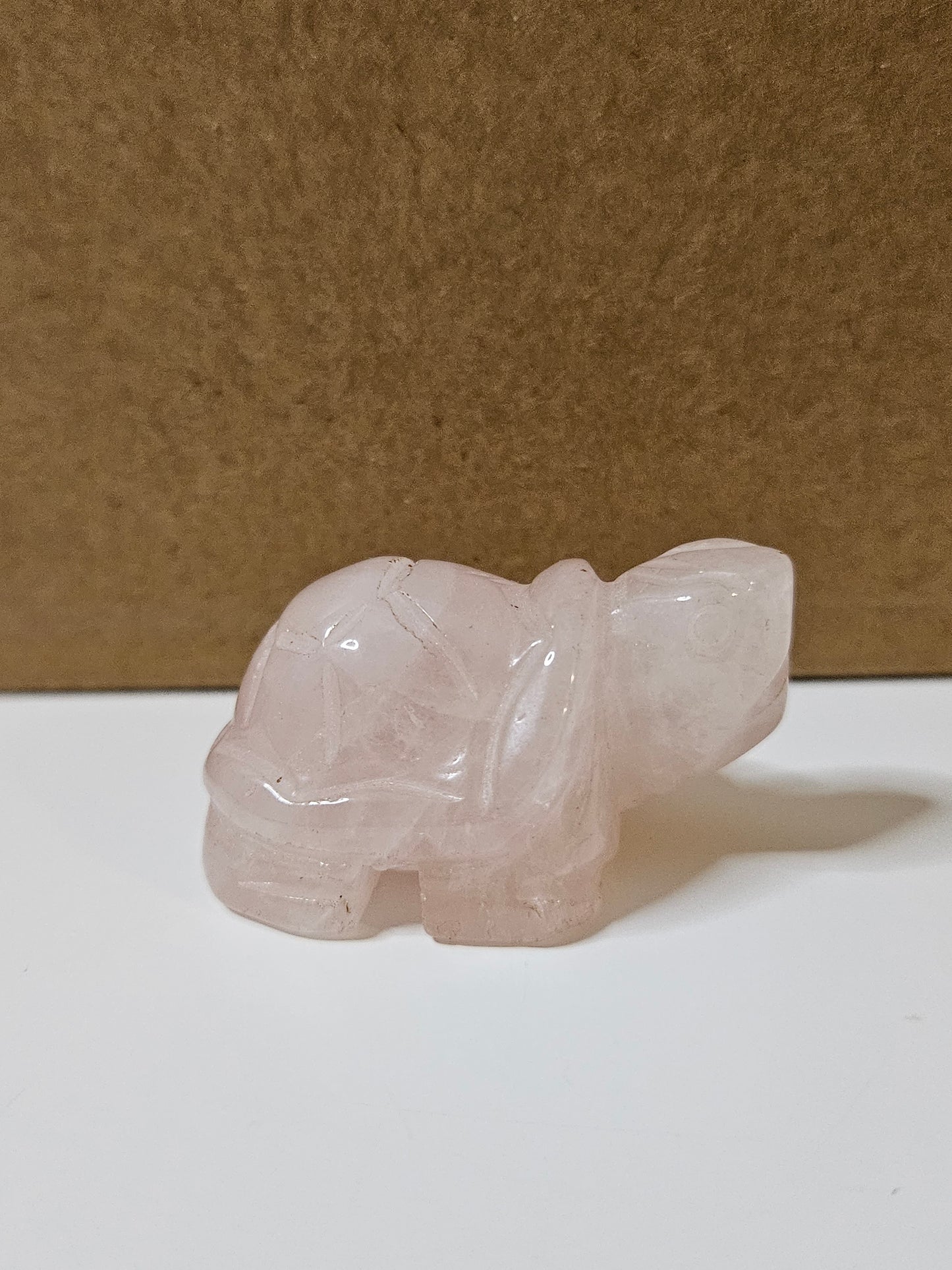 Rosenquarz Schildkröte