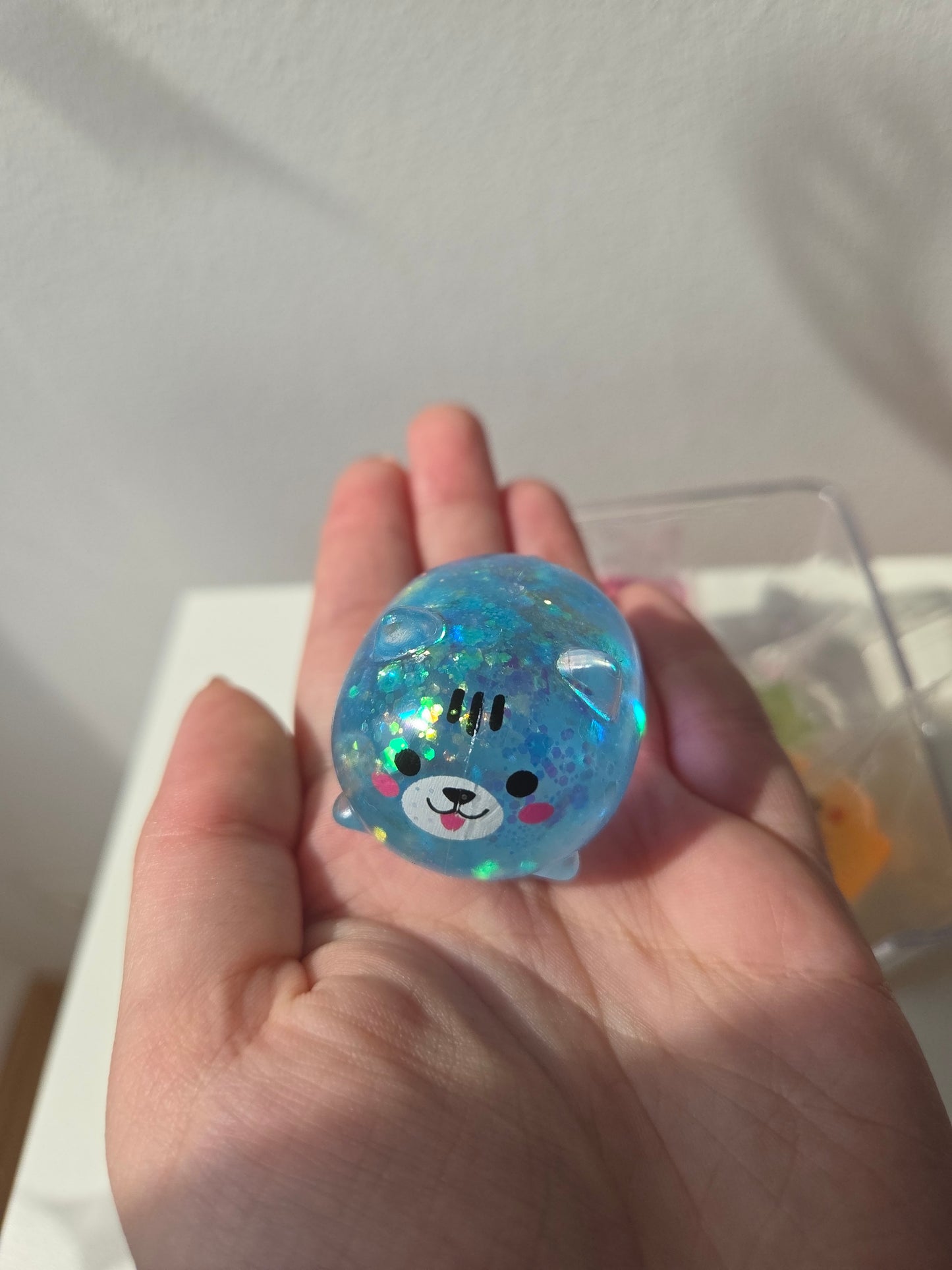 Mystery Mini Cat Sugar Squishys