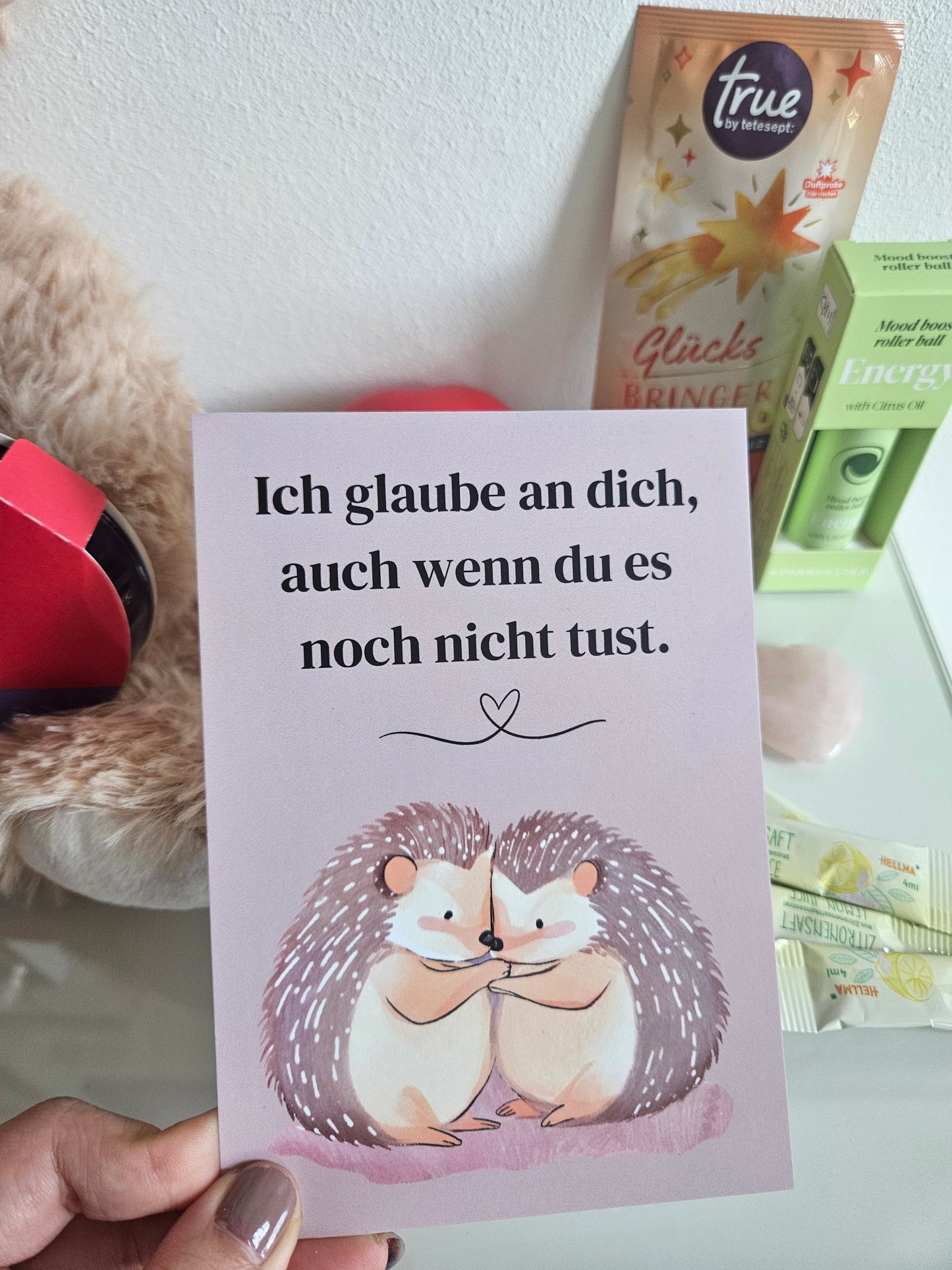 Teddy/Skills Geschenkset