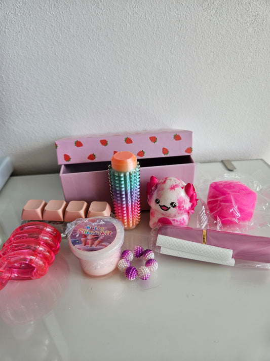 Skills&Fidget Kiste Mini