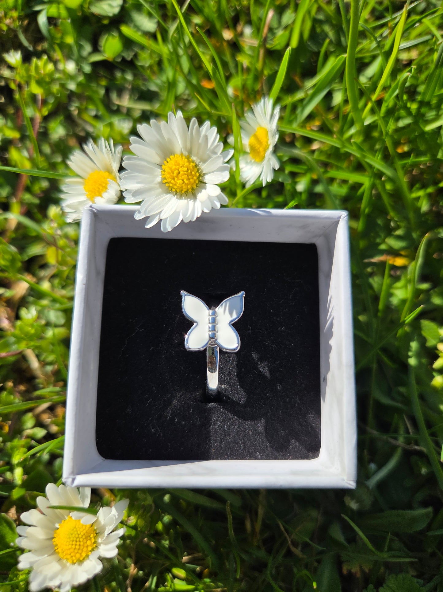 Fidgetring Schmetterling weiß