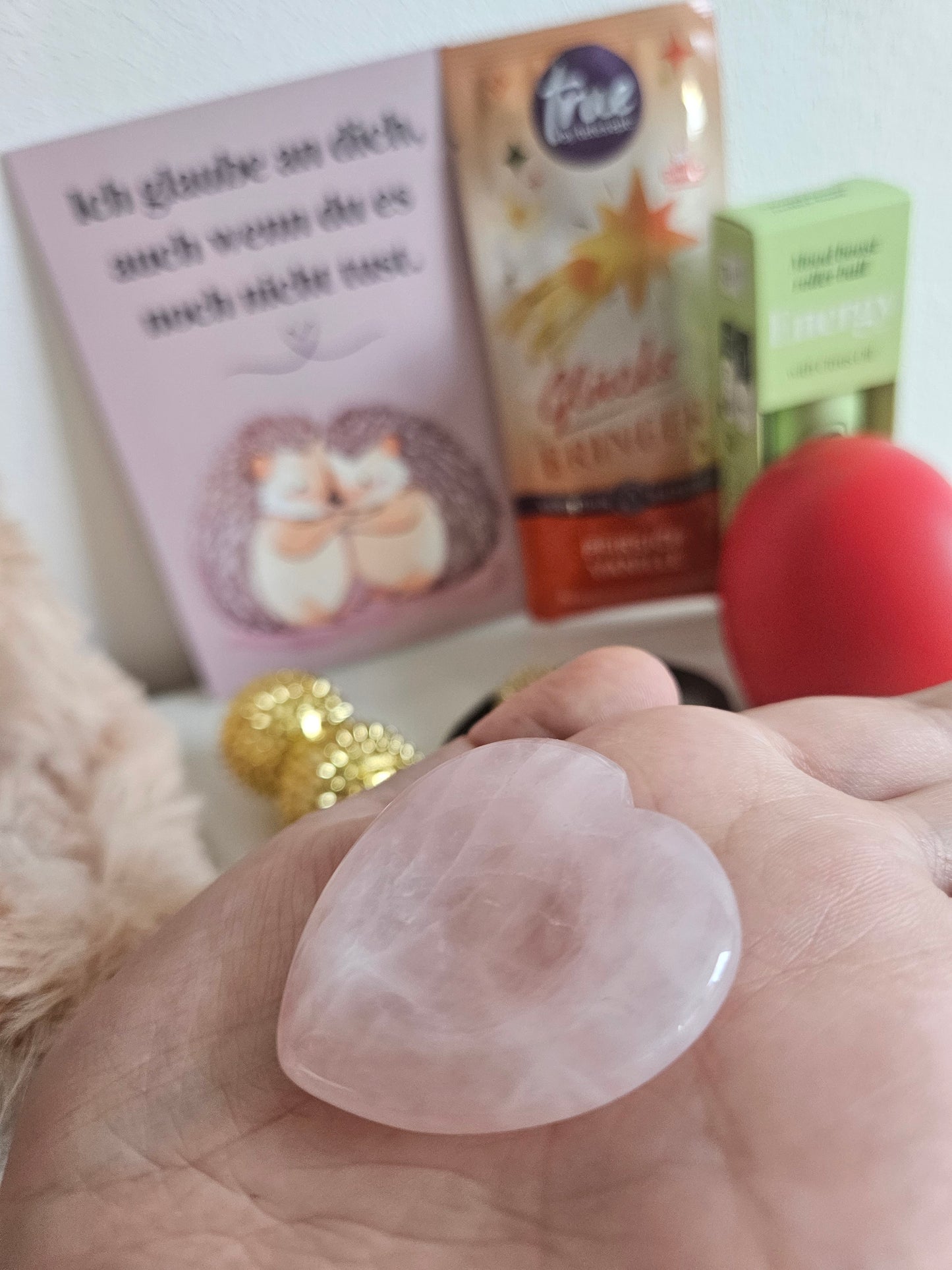 Teddy/Skills Geschenkset