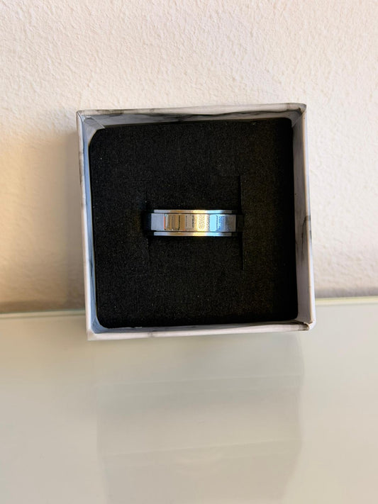 Fidget Ring Silver Steel